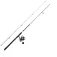 PENN Pursuit® V Labrax Spindende combo