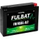 Fulbat FB16AL-A2 젤 배터리