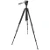 Celestron Trépied AO-WF6734