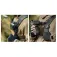 Smallrig Camera Clip with Quick Release Mount Plate Kit