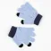 Bluey Bluey set