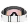 Smith Tribute ski goggles