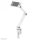 Neomounts DS15-545WH1 Tabletin pidike