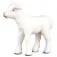Collecta Lammefigur