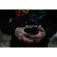 Polarpro IPhone 16 Pro Max-EXO Placa trasera