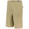 Dickies Eagle Bend shorts