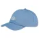 Dickies Gorra Essential Dad