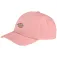 Dickies Gorra Hardwick
