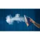 Philips Fer à vapeur DST8050/20