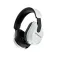 Turtle beach Stealth 600 Gen 3 wireless headset