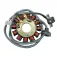 Tecnium E1803100 stator