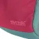 Regatta Boulder 10L backpack
