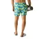Regatta Loras simshorts