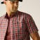 Regatta Camicia a maniche corte Mindano