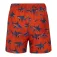 Regatta Skander simshorts