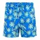 Regatta Skander simshorts