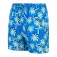 Regatta Skander simshorts