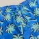 Regatta Skander simshorts