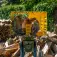 Powerplus Log Splitter 2200W