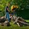 Powerplus Holzspalter 2200W