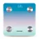 Blaupunkt Bàscula Bluetooth BSM601BT