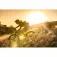Garmin Pedales con potenciómetro Rally RK210