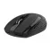 Acer MX202 mouse