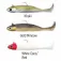 Fiiish Master Shad Combo Heavy weicher köder 9g 75 mm