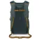 Osprey Daylite Plus backpack