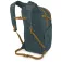 Osprey Daylite Plus backpack