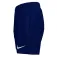 Nike Breaker Solid Essential 4´´Volley uimashortsit