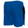 Nike Contend Solid Essential 5´´ Volley uimashortsit