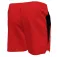 Nike Contend Solid Essential 5´´ Volley uimashortsit