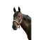 Equitheme Capezza Glowy Nylon