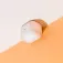 Shelly BLU Motion Motion Sensor