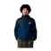 The north face MOUNTAIN jacka
