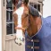 Kentucky Rope Halfter