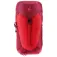 Deuter AC Lite 16L backpack