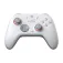 Gamesir Nova 2 Lite Trådløs gamepad til pc