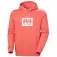 Helly hansen Sweat à capuche Box
