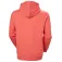 Helly hansen Box kapuzenpullover