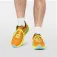 Helly hansen Buzzard TR trailschoenen