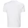 Helly hansen Core graphic t 2.0 반팔 티셔츠