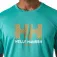 Helly hansen Tech graphic 2.0 short sleeve base layer