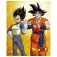 Pyramid Goku & Vegeta Juliste