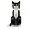 Lego Ideas Smokingkat constructieset