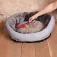 Vileda Cepillo Electroestatico Pet Pro