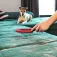 Vileda Cepillo Electroestatico Pet Pro