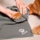 Vileda Serviette en microfibre MF Pet Pro
