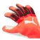 Puma Future Ultimate NC Torwarthandschuhe